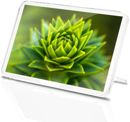 Classic Rectangle Magnet with Stand - Monkey Puzzle Pine Tree - Fridge Locker Office Whiteboard Toolbox #51476