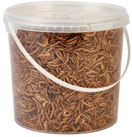 Premium Dried Mealworms, Wild Bird Food, 2.5L
