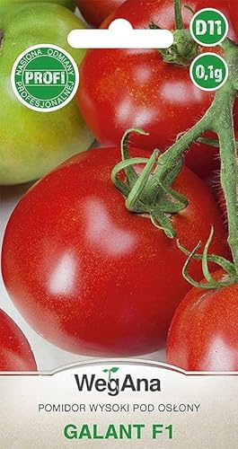 WegAna Tomato High Seeds Galant F1 0,1g Tomatfrön Hardy Vegetabiliska frön, Grönsaksfrön Växthusodling Frön Trädgård