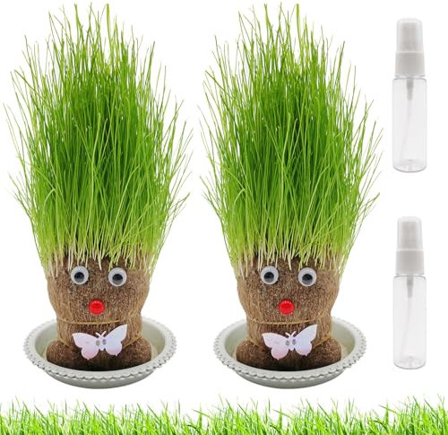 Poupée Tête d'Herbe Mini Bonsaï - 2 Plantes en Forme de Tête avec Plateau (M3) - Grass Head Plant