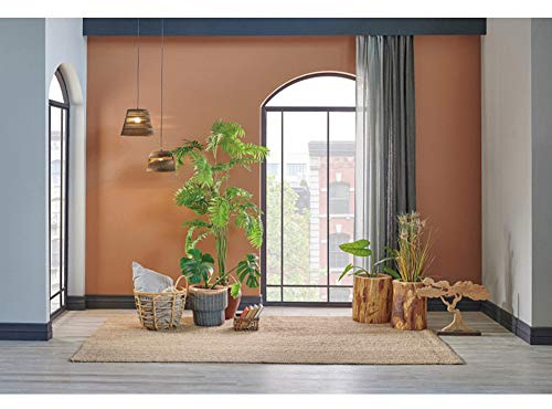 Baocicco 12x10ft Living Room Scene Interior Room Photography Background Plants Carpet Arch French Windows Ceiling Lamp Balcony Photo Backdrop Salon Online Video Background Wedding Birthday Studio