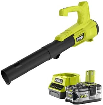 Pack RYOBI Souffleur 18V OnePlus Turbo Jet RY18BLA-0-1 Batterie 5.0Ah - 1 Chargeur Rapide RC18120-150