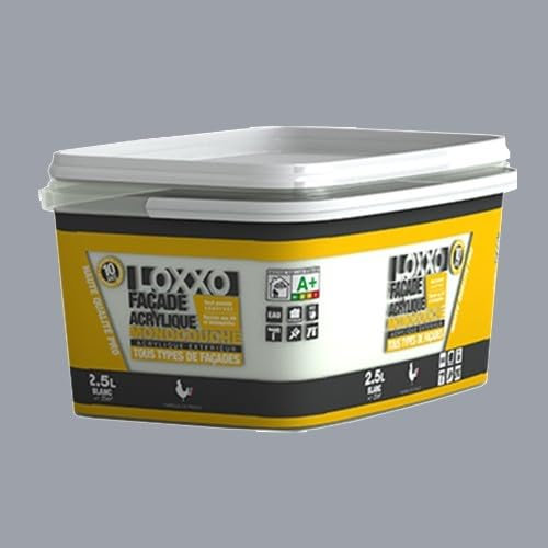 LOXXO Peinture Façade Acrylique 2,5L Ciment RAL 7040 2,5 L