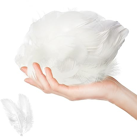 Lotsdonxia 100-Piece Feather Set for Crafts Natural Goose Feathers for DIY Handmade Projects Gift Box Filling Decorative Ornaments Art Crafts (White)