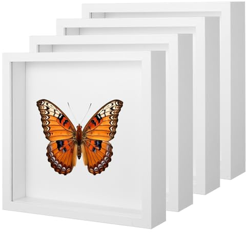 Meyeyaia 4 Pack Shadow Box Frames, 8 x 8 Inches Square Artificial Board Shadow Boxes Display Case, White 3D Picture Frames for Photos, Dried Flowers, Wall Mounted Handicraft Photo Frame