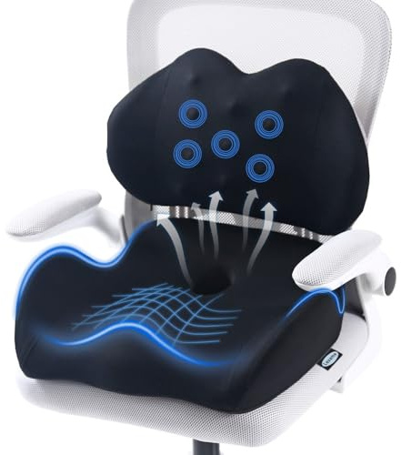 Lexeme X Large Memory Foam Seat Cushion Lumbar Support Pillow for Sciatica & Tailbone Pressure Relief Coccyx Pad for Office Chair, Car,Wheelchair,Home,Office