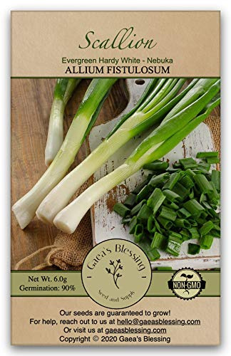 Gaea's Blessing Seeds - Scallion Seeds â Nebuka Hardy Evergreen - Japanese Green Onion Seeds for Planting, Heirloom Bunching Onion, Non-Bulbing Scallions for Garden, Containers & Indoor Growing