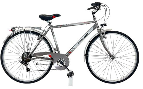 Canellini Moving Herren-Fahrrad, Stahl, 28 Zoll Grau