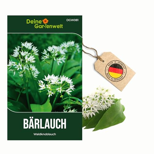 Bärlauch Waldknoblauch Samen - Allium ursinum - Bärlauchsamen - Kräutersamen - Saatgut für 20 Pflanzen – 3er Pack