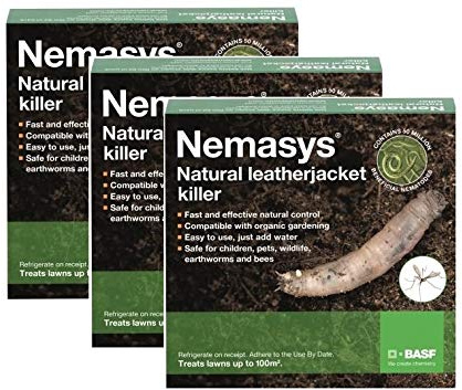 Nemasys Leatherjacket Killer nematode treatment (300 sqm)