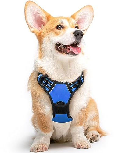 Eagloo Harnais Chien, Harnais Anti Traction pour Chien, Bleu, M