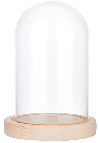 NBEADS Glasglocke mit Holzboden, 16,5 cm Hoch Transparente Glasbox Dome Cloche Glas Display halbrund Klare Dekorative Vitrine mit Tablett für Valentinstag Ewige Rose Lichterketten schmuck Antiquitäten