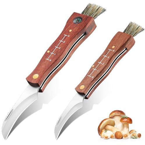 JASON Couteau à champignons avec brosse - Set de 2 couteaux à champignons couteau pliant d'extérieur avec manche en bois pour les cueilleurs de champignons