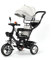 Homewell Trycile Kinderkraft Dreirad, skalierbar, 2-in-1, kombiniert Trolley und Fahrtenfunktion, mit faltbarer Sonnenblende und Fußpedal, Geschenk für Babys, 1-5 Jahre (01, Grau)