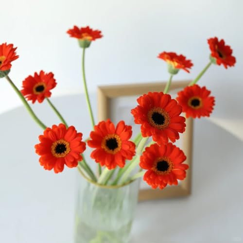 100 pz semi di gerbera - semi di fiori, piante balcone di fiori, semi di bonsai semi di fiori di campo, balcone fiori da giardino resistenti, piante rampicanti resistenti piante decorative,