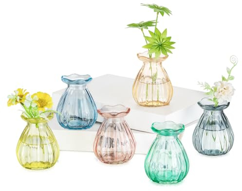 Glasseam Small Vase for Table Decorations: 6pcs Lovely Glass Vases for Home Living Room Dining Tables Wedding Party Decor - Coloured Bud Vases for Flowers Plant Bouquet
