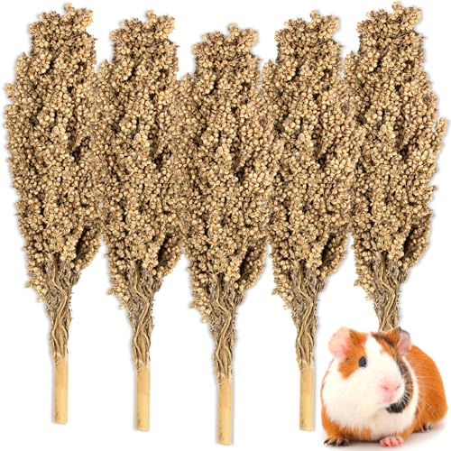 Sukh Natural Hamster Sprays - 5pcs Natural Sun-Dried Red Sorghum Grain,Flower & Herb Grain Stalks for Cage Habitat Bedding Decor for Dwarf Syrian Hamsters,Gerbils,Mice,Cockatiels