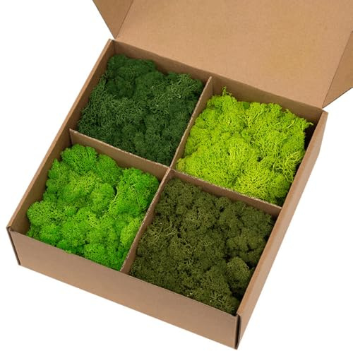 ZenceWell Preserved Reindeer Moss Craft Natural Green Moss Mix Art Wall Decor Easter Table Wedding Decor (Green Mix, 0.88 lb / 400 g)