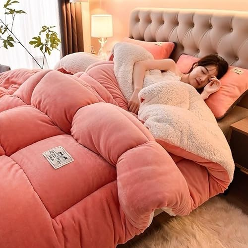 Couette d'hiver Épaisse Super Douce Et Chaude, Couette De Couette, Noyau De Couette Chaud en Velours Double Face, Couverture d'hiver en Cachemire Épais, Couette d'hiver en Tissu De Velours d'agneau (