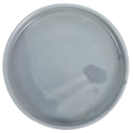 Veemoon Platillo Redondo de Cerámica Gris para Macetas de 11,5 Cm, Bandeja de Drenaje para Plantas y Bonsáis, Base Estable para Jardineras, Accesorio Resistente al Calor para Cuidado