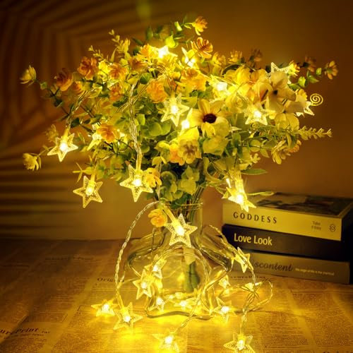 AUAUY Luci Stringa Stella, 6M 40 LED Catena Luminosa a Batteria Luci Stringa Natalizie Decorazione, per Natale Matrimonio Compleanno Festa Fecorazione Interna ed Esterna (Bianco Caldo)