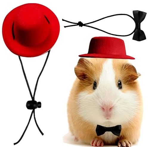 CQJ Set di 2 vestiti per porcellini d'India, papillon per animali domestici, per giochi di ruolo, cappello per animali domestici, papillon per criceti, porcellini d'India, coniglio, cincillà, riccio