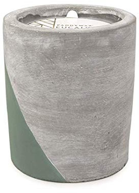 Paddywax Candles Urban Collection Wachs aus Soja-Mischung, 340 ml, Eukalyptus + Santal