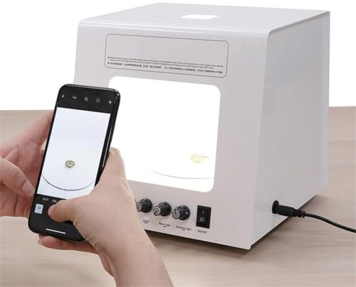 Caja De Luz para Estudio FotográFico, Caja De Fotos De 22 X 22 Cm con Luces FotografíA De Caja De Luz PortáTil, Mini Caja De Estudio FotográFico, Caja Suave Regulable, 2 Modelos De Luz,T30