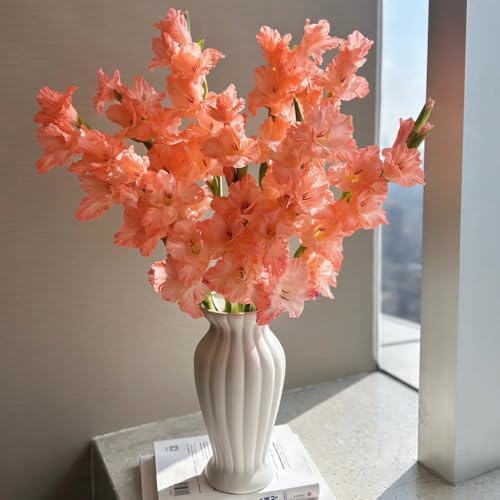 Bombilla de gladiolos,perennes resistentes,de interior,para lugares soleados resistentes para exterior,regalos para los amantes de la jardinería.7pcs