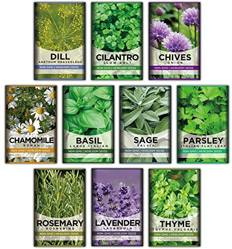 10 kit non OGM che crescono in timo, lavanda, camomilla, aneto, erba cipollina, coriandolo, rosmarino, basilico, prezzemolo, salvia per interni/esterni, per cucina, davanzale della finestra,