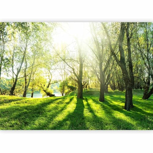 murando Photo Wallpaper Forest 450x315 cm Non-Woven Premium Art Print | Fleece Wall Mural Decoration Poster Picture Design Modern Nature Landscape green