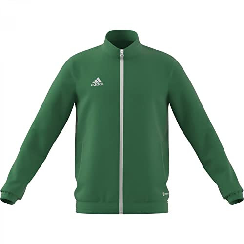 adidas Unisex Kinder Entrada 22 Track Jacket, team green/white, 11-12 Years