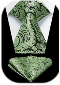 HISDERN Herren Krawatte Salbeigrün Paisley Muster Klassische Formelle Freizeit Krawatte mit Einstecktuch Herren Hochzeits