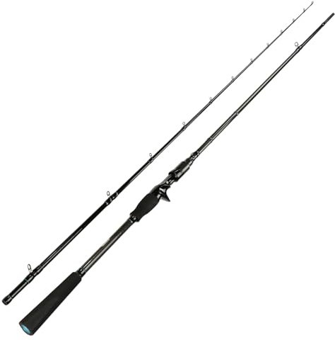 Sportex Black Arrow G4 Spin BA2334 2,40m 19-96g Baitcastrute