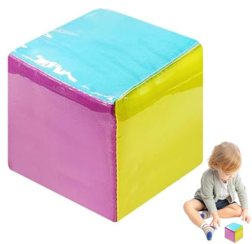 Peosaard Dadi Grandi, Dadi tascabili Cubi Quadrati in Morbida Schiuma da 3, 9 Pollici con Tasca Trasparente a 6 Lati, Cubi di apprendimento Fai-da-Te, Gioco educativo per l'insegnamento,