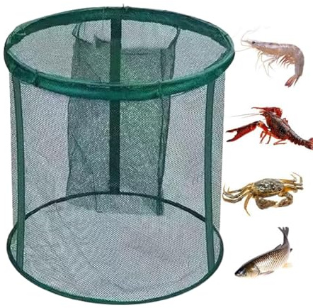 Générique Panier À Poisson Pliable - Piège de Stockage Pliable pour Poissons Vivants | Cage de Stockage Portable pour Appâts et Filet de Pêche,pour Bar Truite Poisson-Chat Eau Salée Eau Douce Pont