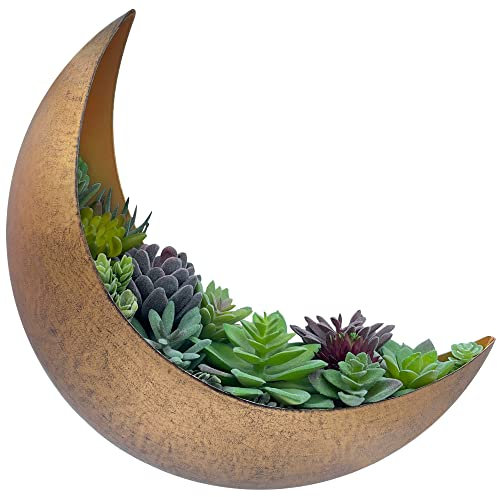 AERLO Pot de Fleurs Mural en métal en Forme de Croissant de Lune à Suspendre pour Plantes Grasses, Plantes aériennes, Cactus – Décoration Murale bohème pour intérieur et extérieur – Cadeau de Plante