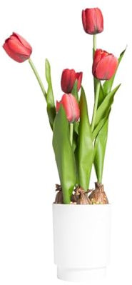 Decor Space Pianta artificiale Tulipano con vaso, realistica, con 5 fiori 13 x 13 x h 58 cm (Rosso)