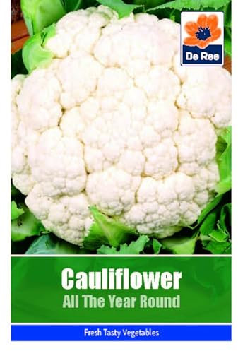 Cauliflower All The Year Round Seeds - 170 Seeds Vegetable Grow Your Own Garden Salad Herb Vegetable Seed