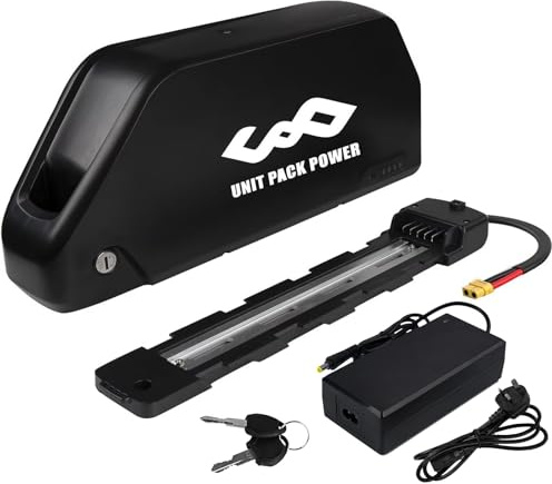 48V 24Ah Ebike Battery (21700) Lg4800mAH Lithium Elecric Bicycle Battery Fit for 250W/300W/350W/500W/700W/1000W/1500W Brushless Motor