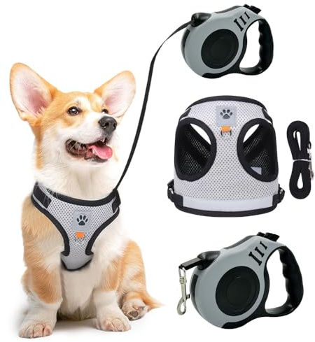 XFSRG Arnés para Gatos y Perros con Correa Antiescape Ajustable con Botón y Chaleco de Seguridad como Equipo de Protección para Mascotas (XS)