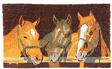 Ebros Gift Colorful Rustic Western Coir Coconut Fiber Floor Mat Doormat 29 by 17 Indoor Outdoor Home Decorative Mats Country Cabin Lodge Farmhouse (3 Horse Friends by Farm Fence)