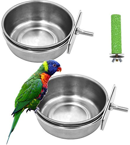 2 Pack Birds Food Dish Parrot Stainless Steel Feeding Cups Bird Feeders Water Cage Bowls with Clamp Holder and 1 Pcs Bird Stand Toy for Parakeet Conure Cockatiels Lovebird Budgie Chinchilla (2 Pack)1