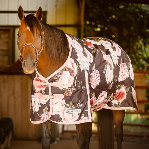 Jeffers Expression 1200D Turnout Horse Blanket, 240G, 84 - Rose Garden