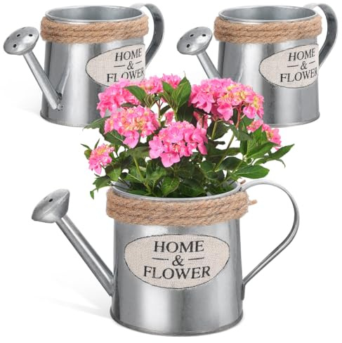Ciieeo 1Pcs Mini Watering can Vase Metal Watering can Flower Vase Rustic Flower Pot Table Decor 7.36 X 3.54 X 3.22in for Fresh and Dried Indoor Outdoor Display Wedding Party