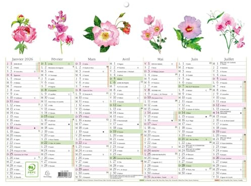 Exacompta - 34305E - Calendrier Mural - Thème Fleurs Avec Illustrations Aquarelles - 7 mois par face - Dimension 29,5 cm x 22 cm - Calendrier 13 mois de Janvier 2026 à Janvier 2027