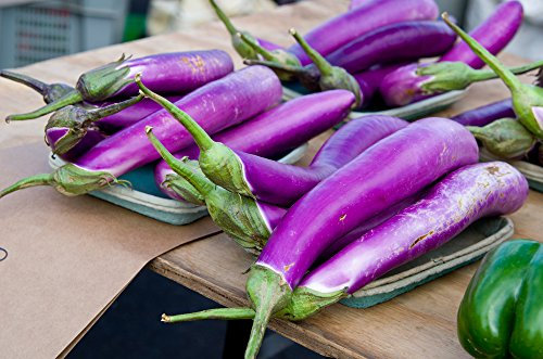 Japanische Auberginen 10 Samen Süße und weiche Frucht, lange Früchte