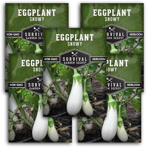 Survival Garden Seeds Snowy Eggplant Seed for Planting - 5 Packets with Instructions to Grow White Eggplant (Aubergine) in Your Home Vegetable Garden - Non-GMO Heirloom