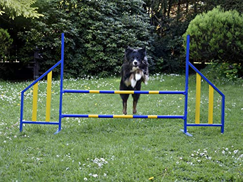 PROCYON Agility Hürde für Hunde Profi-Training-Set FCI konform Hürden Hundeport