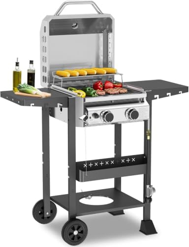 Cowsar Barbacoa de gas de dos quemadores de alta calidad, barbacoa portátil de propano, 16,000 BTU, estantes de doble cara de acero inoxidable 304, barbacoa compacta al aire libre, patio, camping y